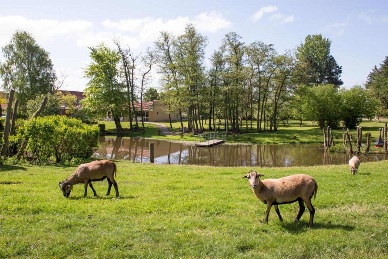 Ejby  Fjelsted Skov Hotel & Konference מראה חיצוני תמונה